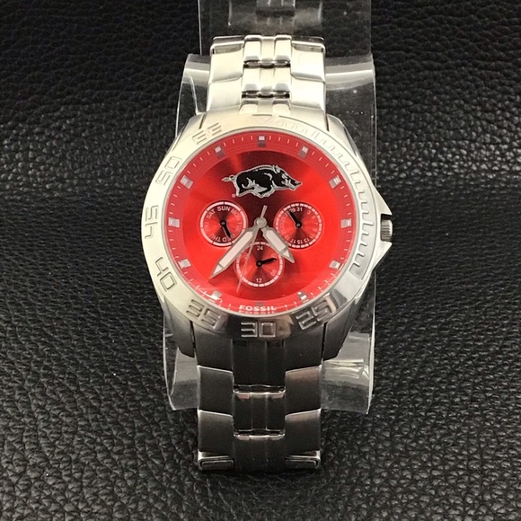 FOSSIL ~ Arkansas Razorbscks - Picture 3 of 9